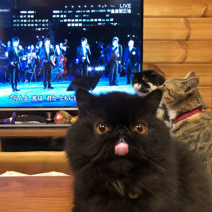 595fe59f 289f 40f5 9082 b13ffc7f21e7 1573296642956