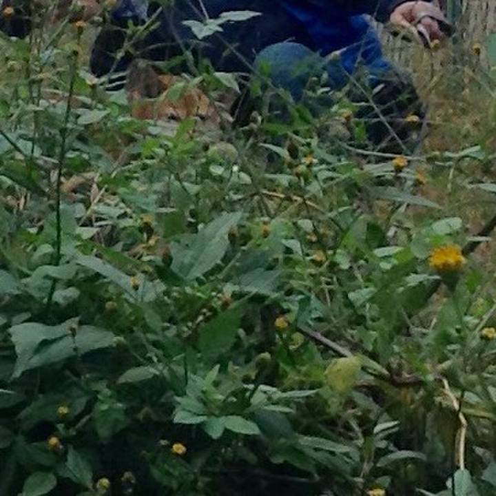 59605ab8 7d71 4663 b335 57a063fd0a33 1540613023592