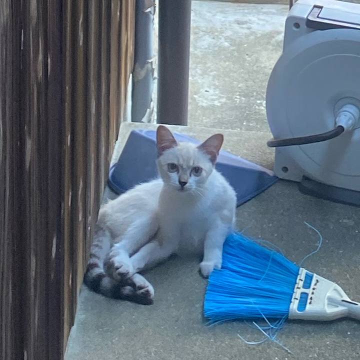 596069bd 2bd0 4162 82cc 7b0c0480c512 1661437173619