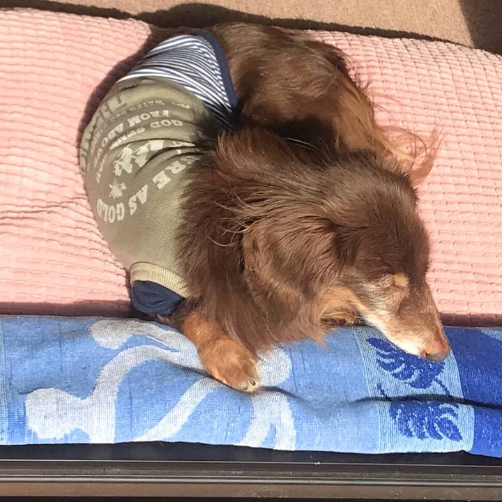 5960a57c 519e 49ce 807d 1f280c713c5f 1579142653808