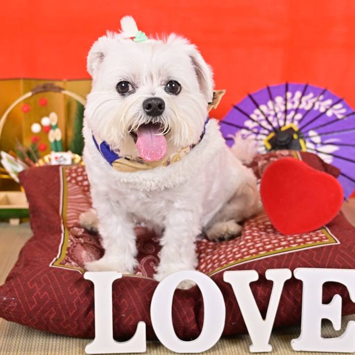 5961129b 7107 40b5 8cef 6b21795372cc 1704070581976