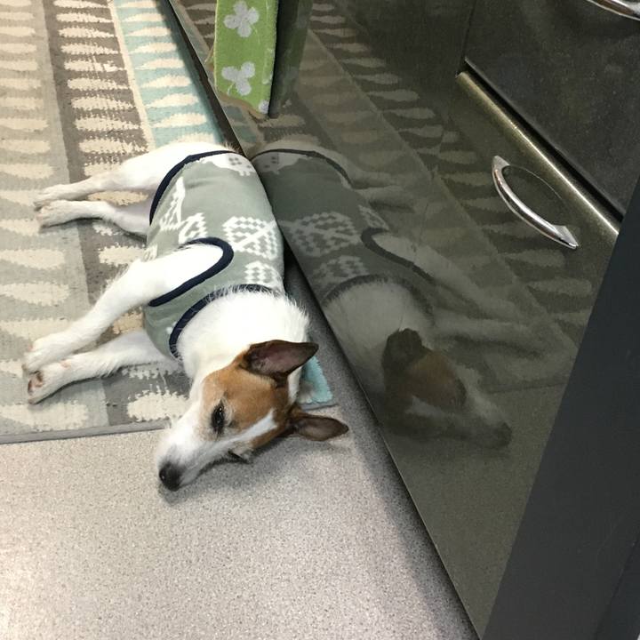 59612bf9 c7fe 45c4 82f3 ee4bccb14ea7 1589845251354