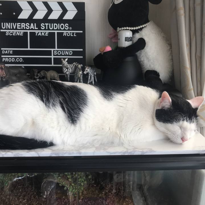 596195d5 e45e 4fb7 9566 ece8bbe20e3c 1520821551290