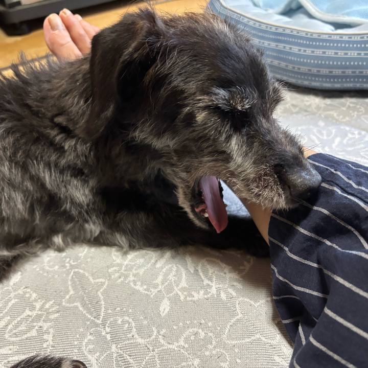 5961d1dc 3c76 474d bc4d eca1d3a168ac 1755820169752