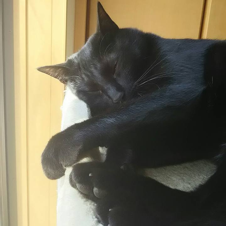 5961d588 7aae 4327 bcd2 783aafcb8de8 1524285860049