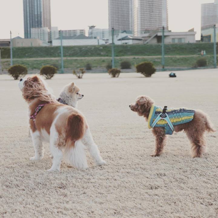 5962022b 05a6 4dca ad87 a57ac820b3f0 1614605371174