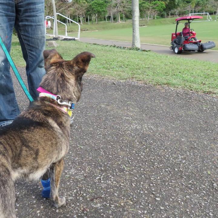 59620471 a6d6 4dc2 9c94 15600ec3c2ad 1551061625364