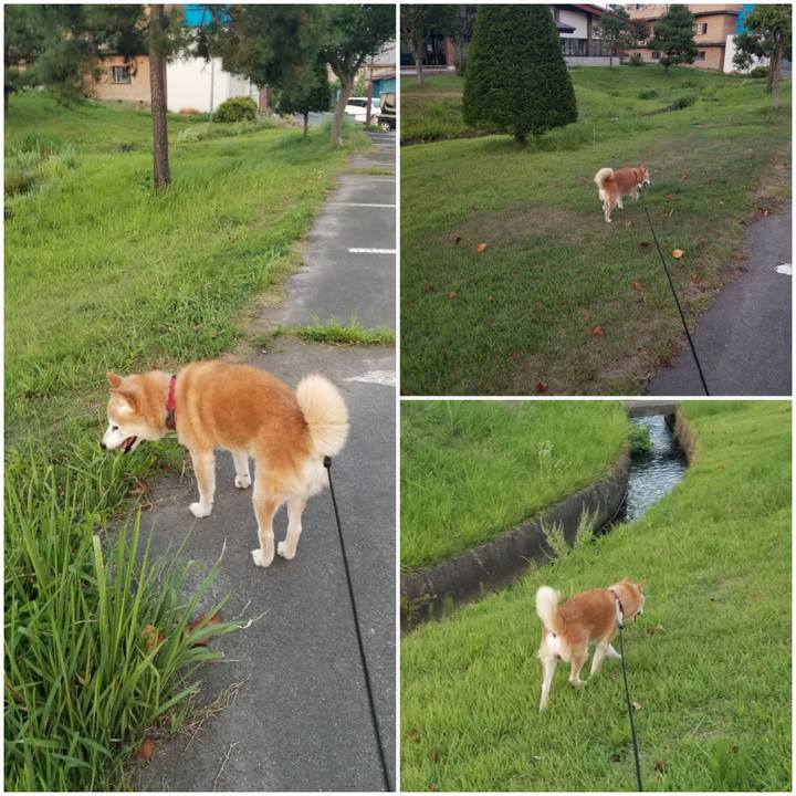 59624f7c 1a72 4292 9795 d00da0b0cb1a 1756718465638