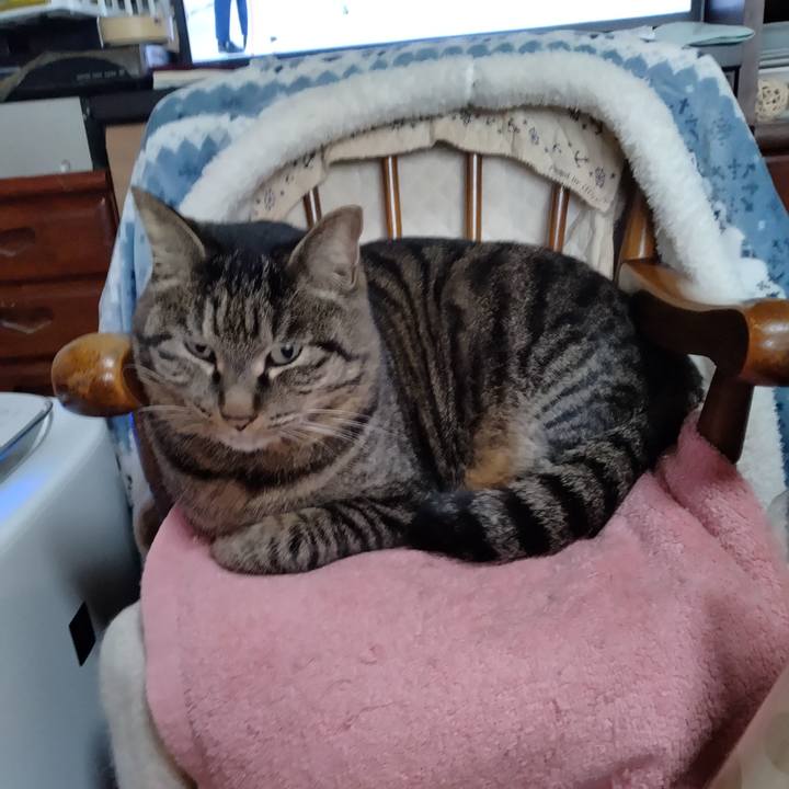 59625cbd ab49 41ee 84ff 0c7a45c8d145 1674433450939