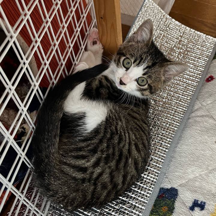 59628836 d310 4fb1 98e5 c7cadd504286 1767653293390