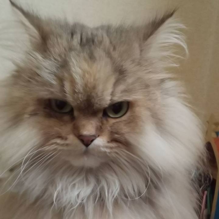 5962a5c9 af51 4030 a30b f835d2acb898 1608343944297