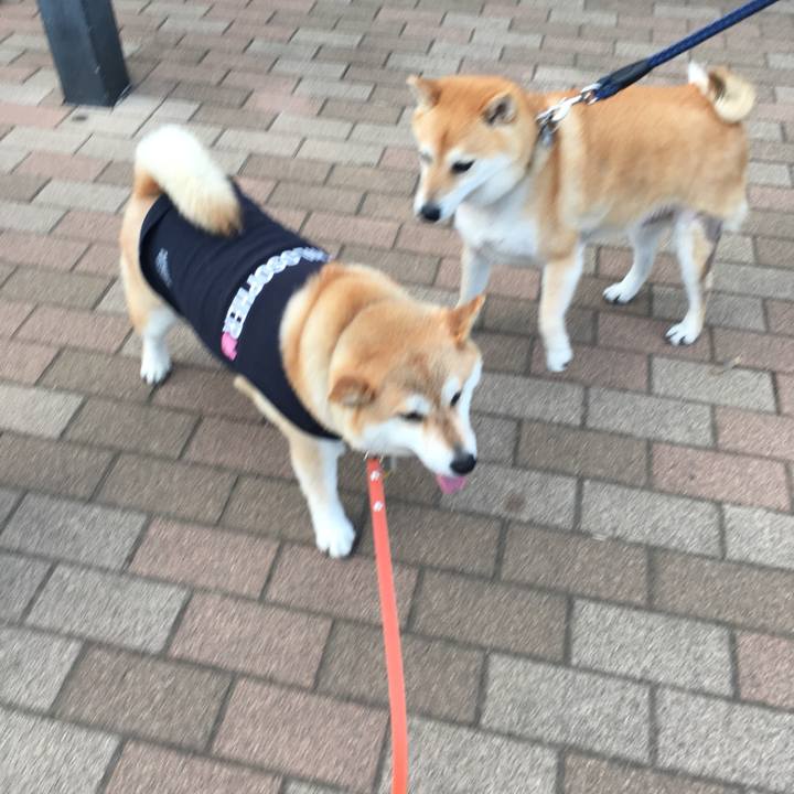 5962b345 4634 4829 a845 207032eac61d 1559643102029