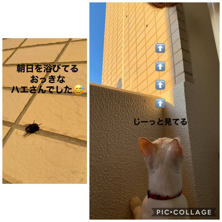 5962beb4 9daf 402b bf30 2091fd0de650 1605138240766