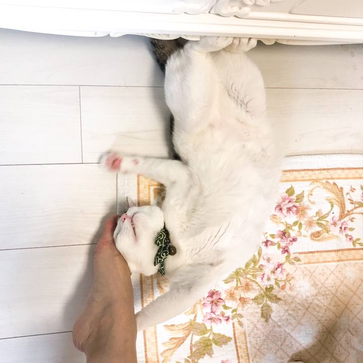 5962e1cd 4777 4703 b31b da95d055b1da 1530325135947