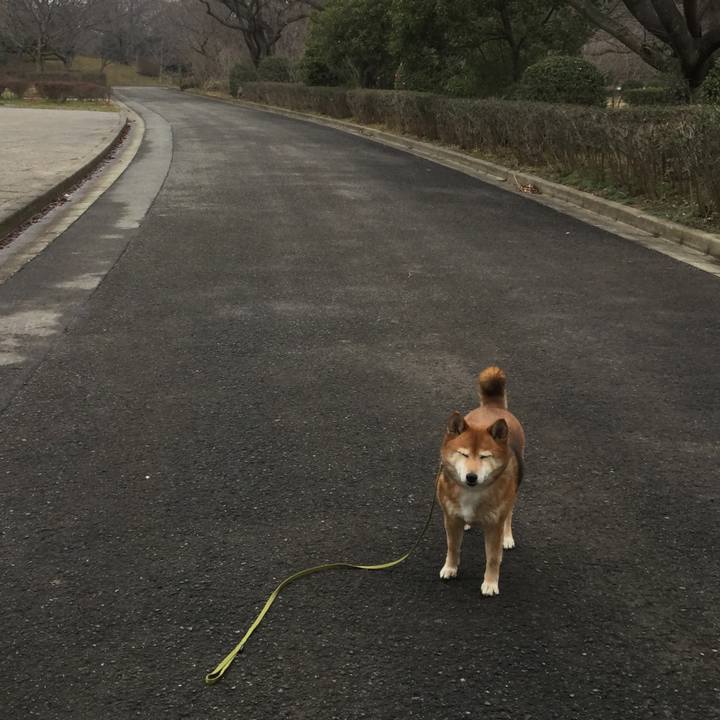 596308a5 15a7 4bdc 88fc bb80a12563c6 1579844752441