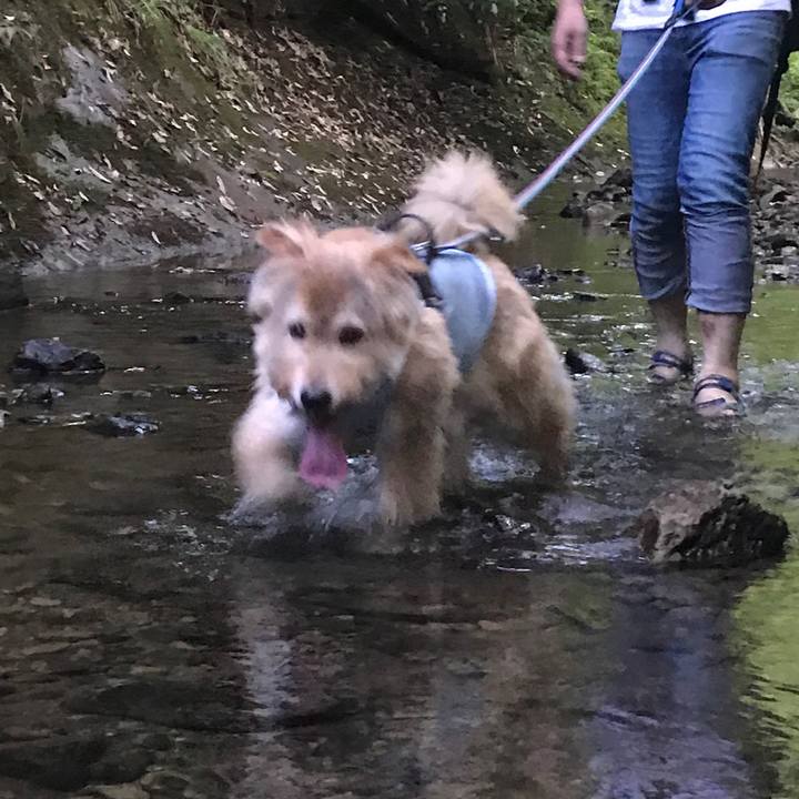 596310e7 4002 42ae a95e 5017107bb77f 1658668732192