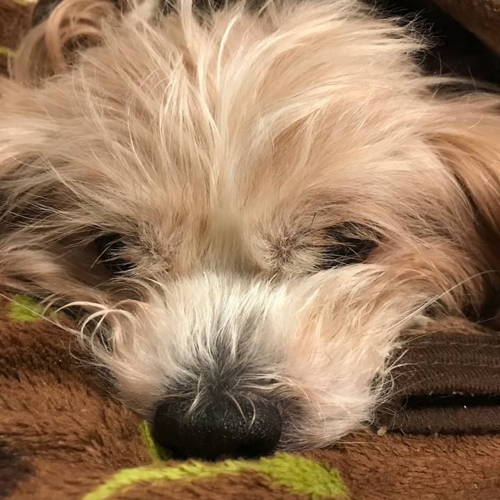 59632761 2e08 4618 a7c0 a4dd920b1d9b 1524237504117