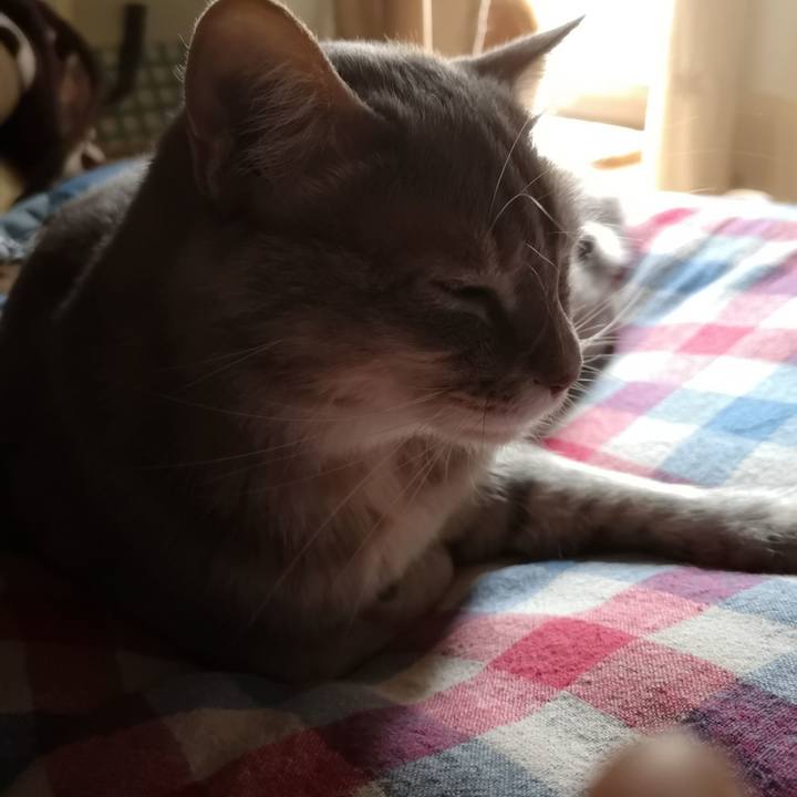 596347e0 62c1 48aa 97d6 1b1e7290aedb 1557618852441