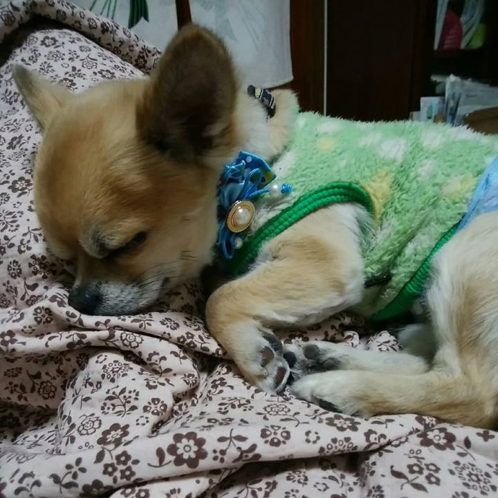 596361b2 a85a 4d24 ade9 bd1acad30630 1547295051184