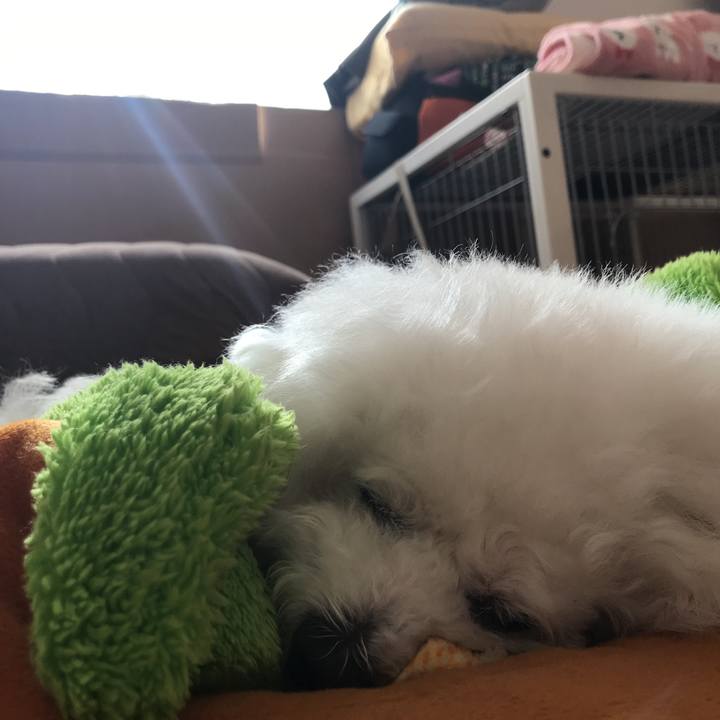 59636de6 8846 4d77 8236 4f4180fb2460 1544837485734