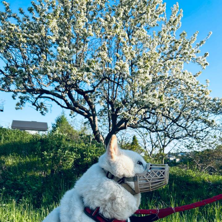 59637230 9fc8 4e8c a541 c48d7772e94e 1715654466942