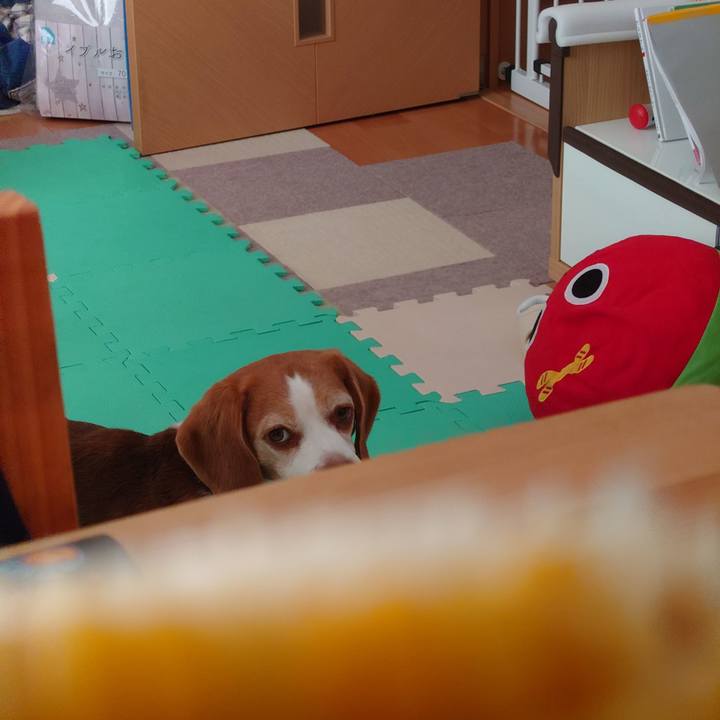 5963850d 5a80 48b8 9f46 afd70f717313 1690954499385