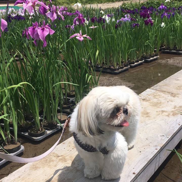 5963c497 aae5 4218 b9a4 cbd40aa3b82a 1558879743882