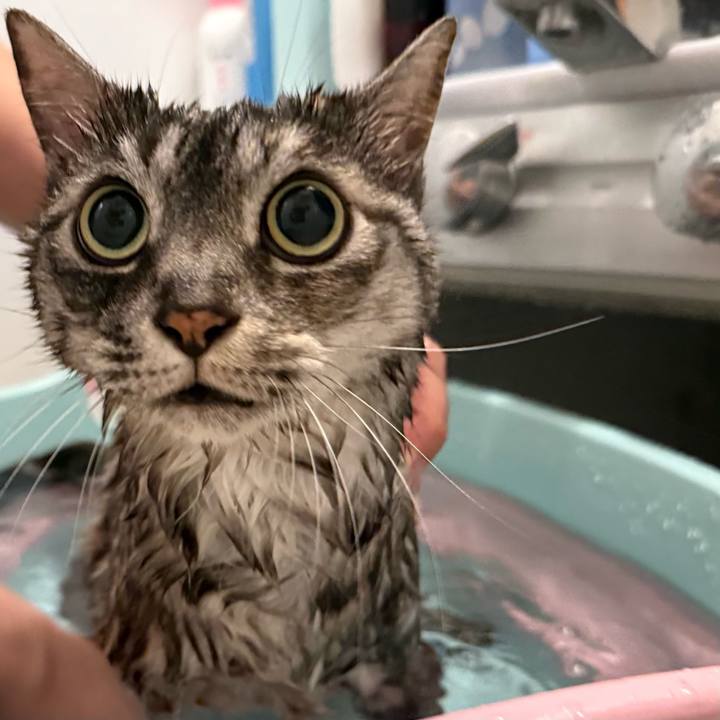 5963cba3 4f0c 4609 91d2 11b58dfdcac6 1763638484802