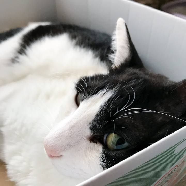 59642023 a0a1 41c8 838b 35b66ebc0e80 1529156203065