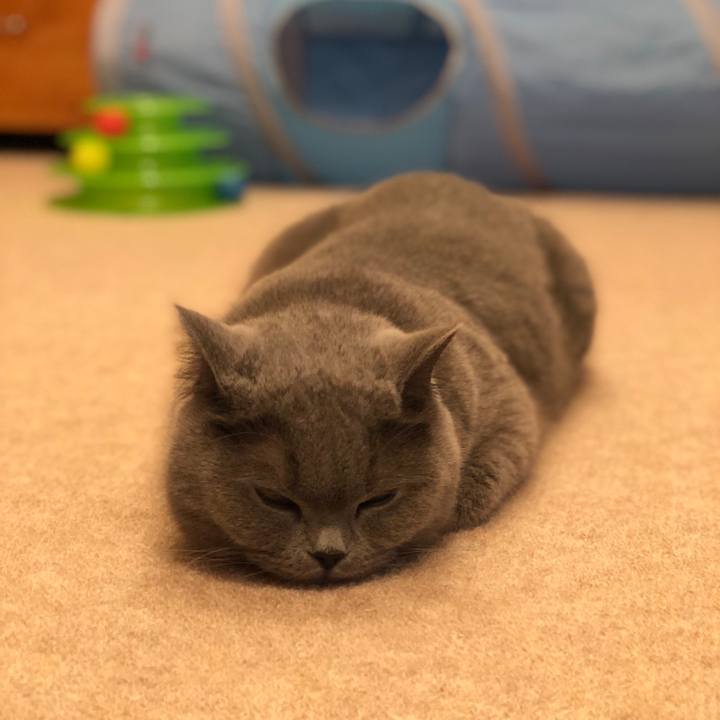 596462ee c168 4b46 821c d7decd1e2782 1520078123918