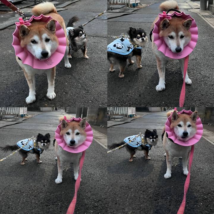 5964807e 02b0 4c6a 9af3 4c7341cb436a 1705740264444