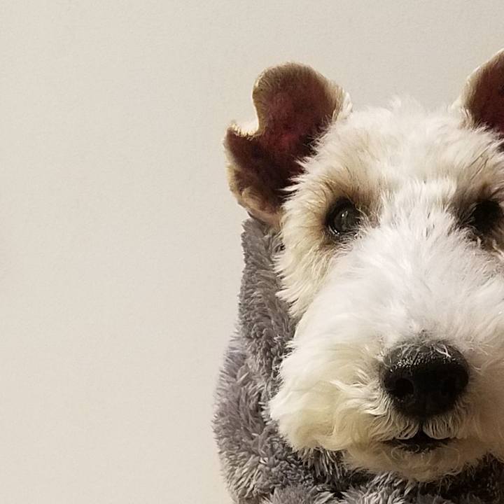 5964dca9 cca4 41e2 b3e3 11a00cc15a9a 1576596477491