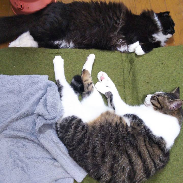 5964f6f0 659b 4932 92f8 826b2668d780 1653634373223