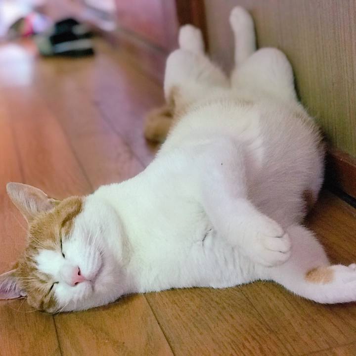 59653caf 3817 4912 8182 287f71cf7581 1530504514347