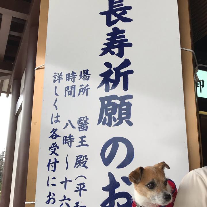 59654335 844b 43fd a400 e63630054c56 1553153755721