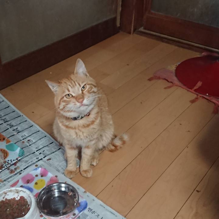 59655bf0 5bf5 4757 beef 46e68874f22c 1651322832585