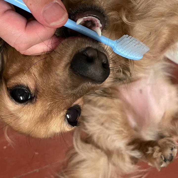 59657aec e505 4cd0 b97f c7e407d7665c 1659269291802