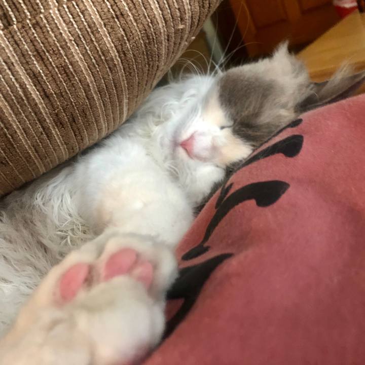 59659848 f2bb 4a30 97b0 918a0269e3a5 1585219403964