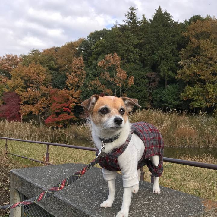 5965c5bf 7775 4ff0 b6a3 f0f1a34ac65d 1575188194442