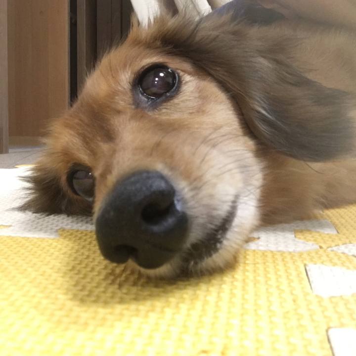 5965e815 ac7f 45d2 81d5 be3a56e41b19 1535170942813