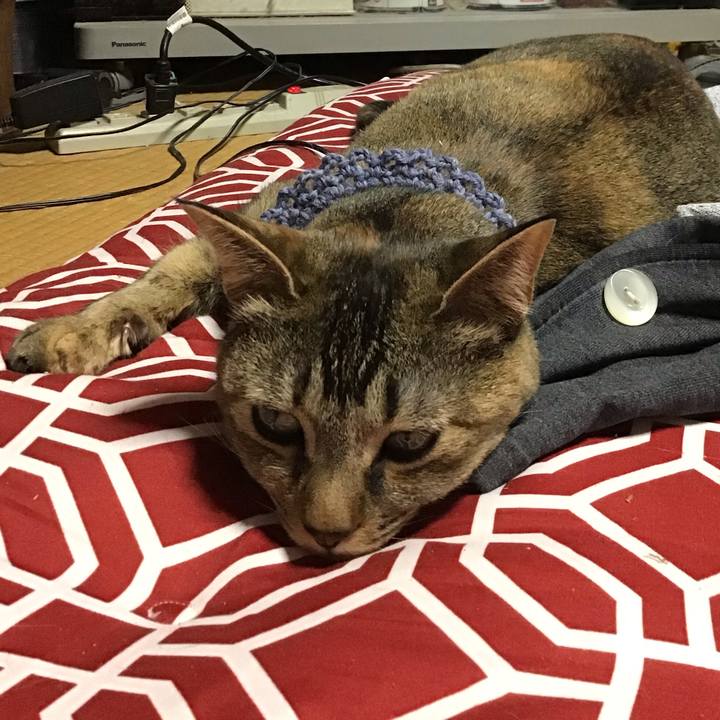 5965f61c 172d 4453 a2b3 0e1c38f099c9 1616759926617