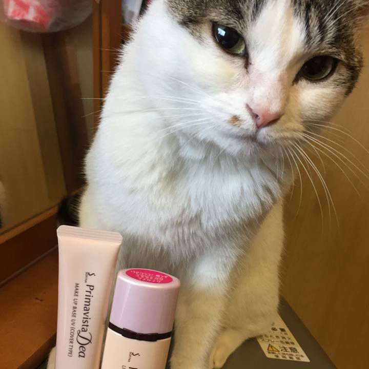 5966263a 3e1c 48e4 bd9c 08a16c7debfa 1527824413470