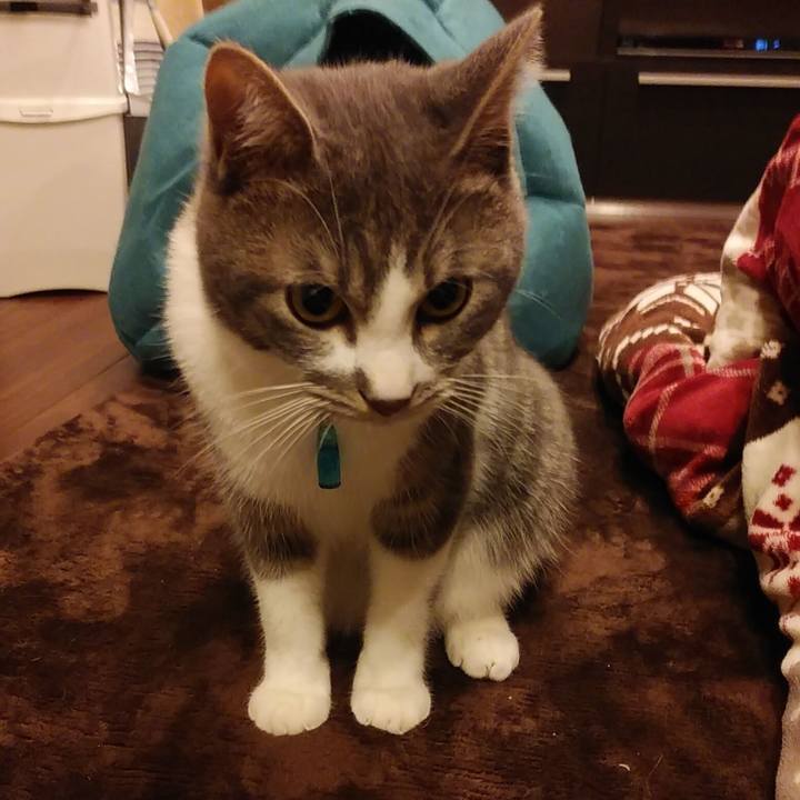 59662b69 53a1 4eb2 9d96 a38b14d0013b 1579426953866