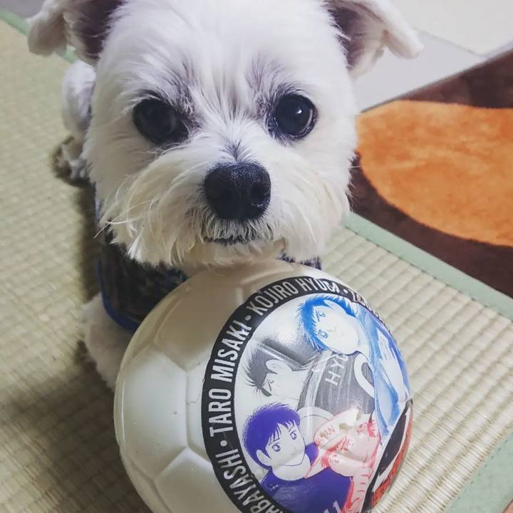 59664be4 98ff 4d83 80f5 8b512ac7587d 1669934260158