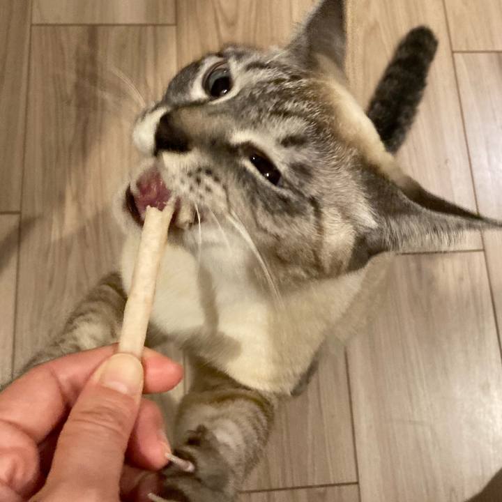 59665ebd 6074 41fe b2d9 70c7cfaecbac 1644485662441