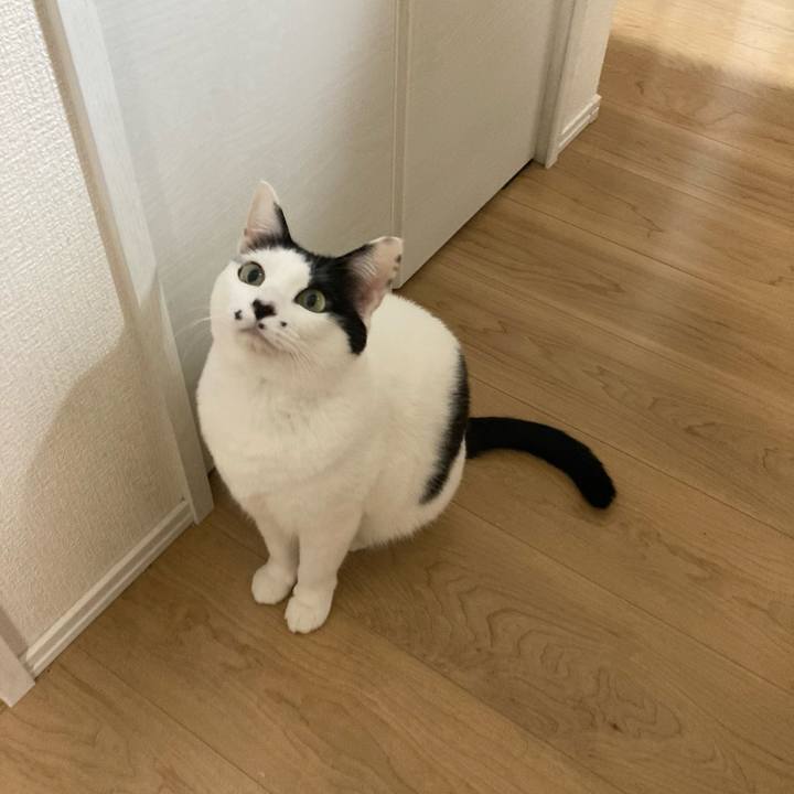 59669774 77a3 4d3a bcb5 dd8d99a59d0e 1766175631502