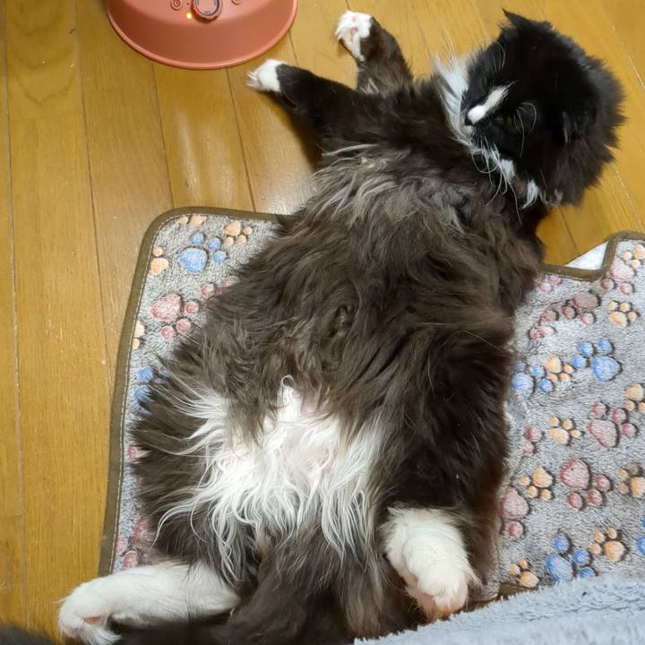 5966c1d1 ff29 4f44 b5cd 4cdb27a52254 1680433354817