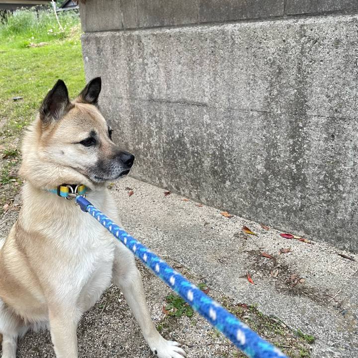 5966c571 4d83 429e abf2 705816250cad 1652184559841