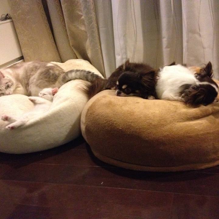 5966eca0 6b48 45e4 ac6f 083db0c065a0 1542844282222