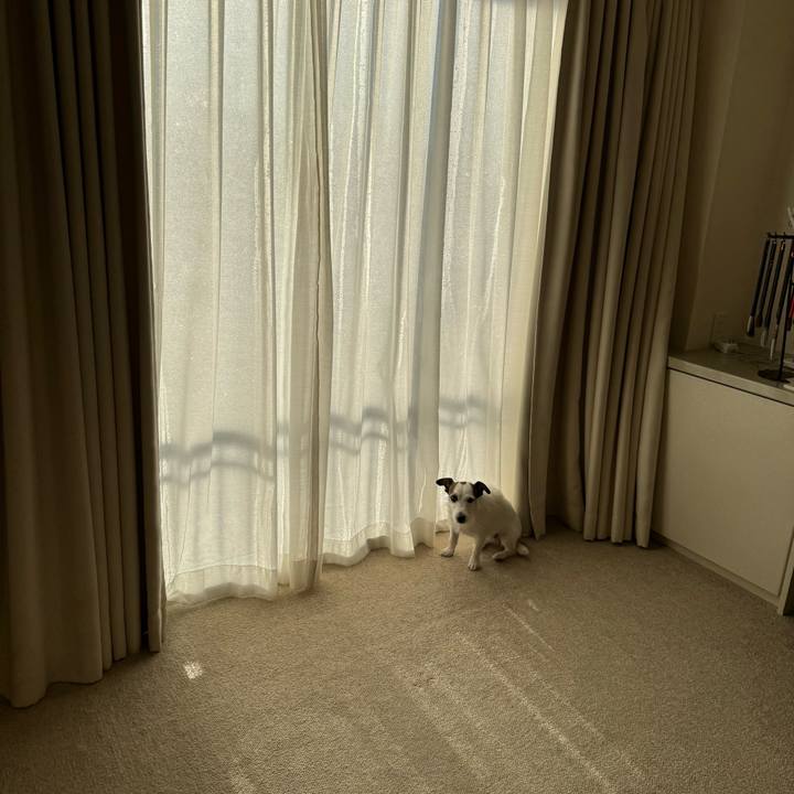 59670039 a614 46ed 9ef0 8030c84ff3ca 1765852345921